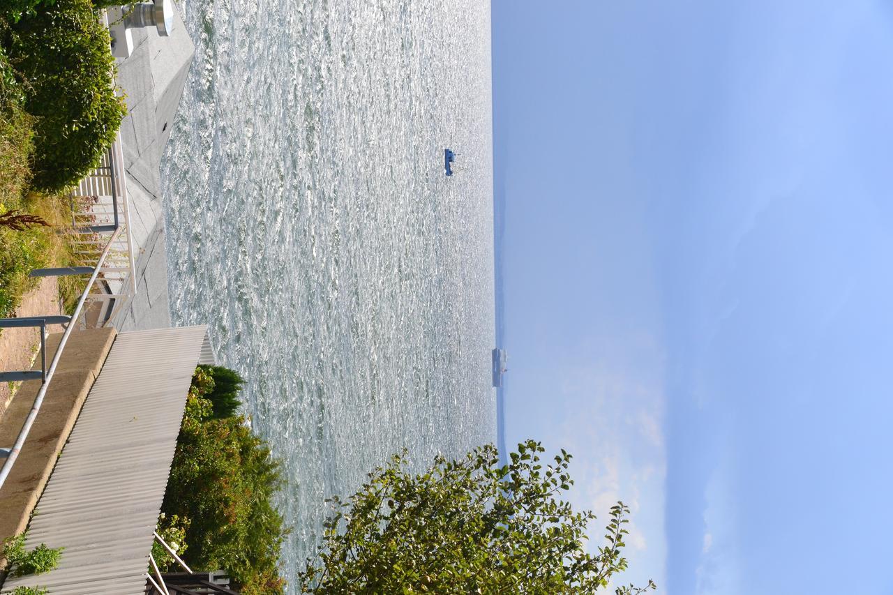 Meerforelle 207 - Villa Seeblick Sassnitz Luaran gambar