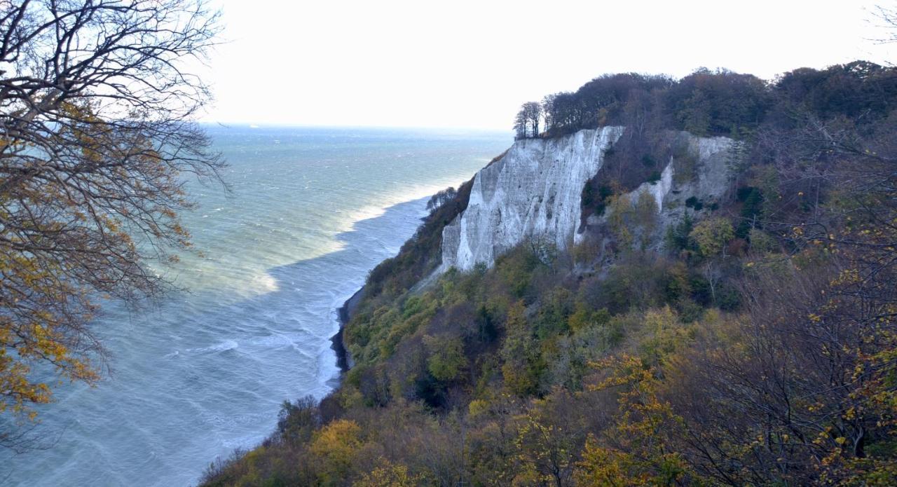 Meerforelle 207 - Villa Seeblick Sassnitz Luaran gambar