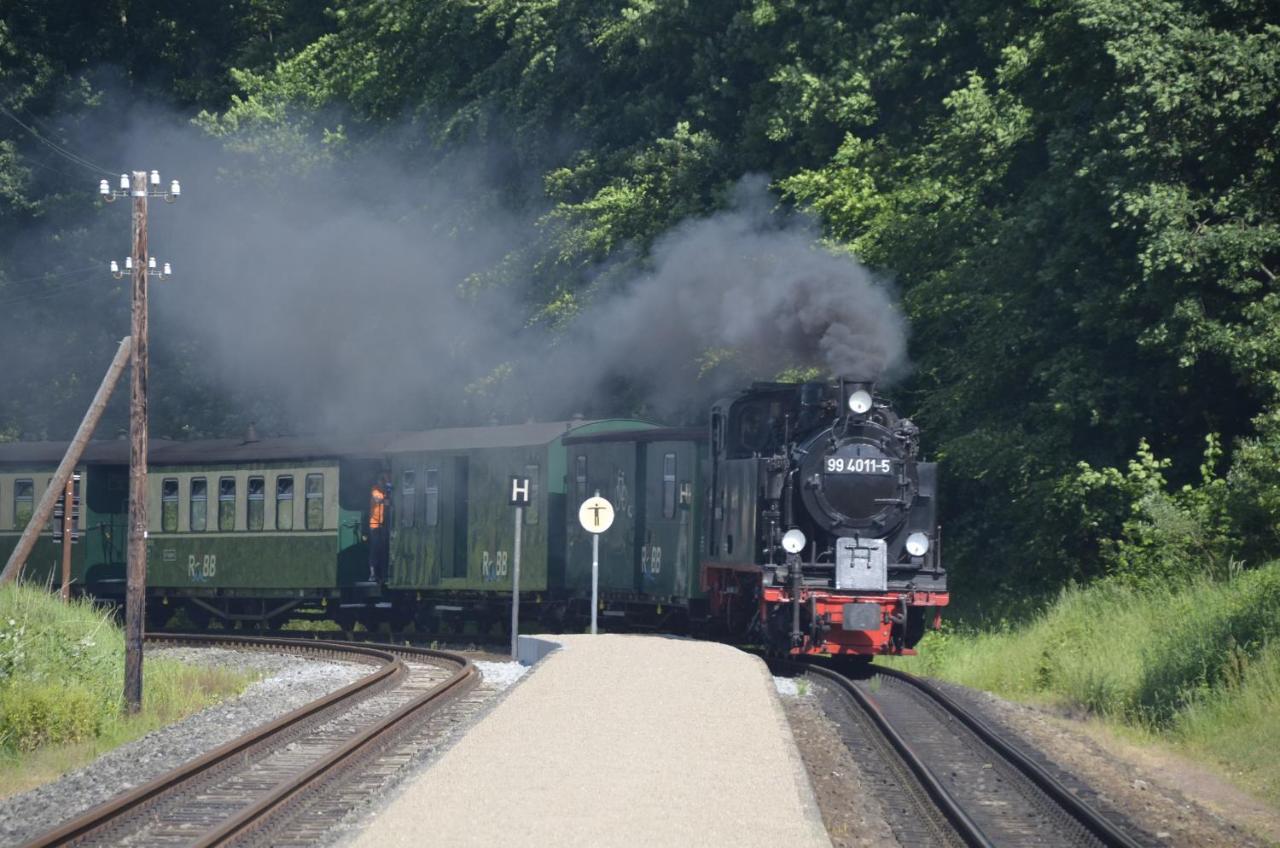 Meerforelle 207 - Villa Seeblick Sassnitz Luaran gambar