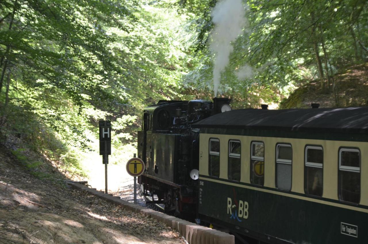 Meerforelle 207 - Villa Seeblick Sassnitz Luaran gambar