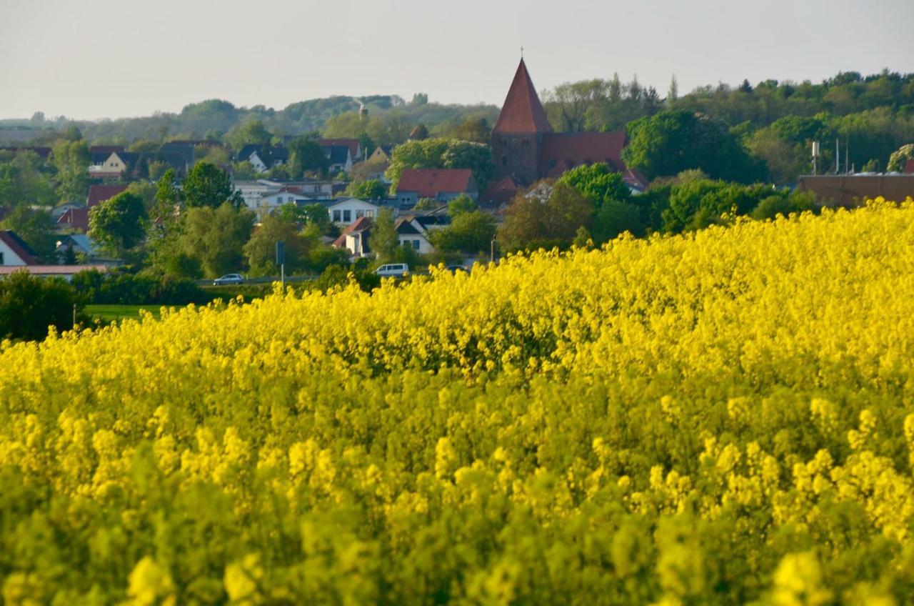 Meerforelle 207 - Villa Seeblick Sassnitz Luaran gambar