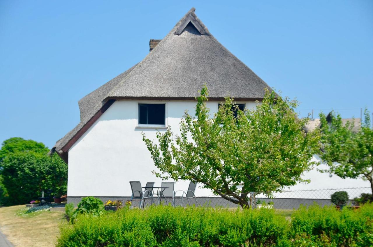 Meerforelle 207 - Villa Seeblick Sassnitz Luaran gambar